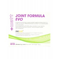 Joint formula Evo 20 stick da 5 gr.